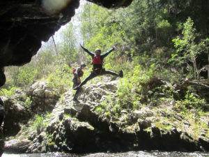 Awesome things to do in Plettenberg Bay