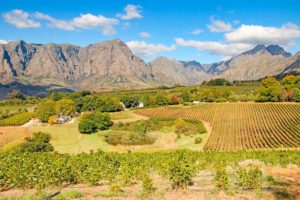 Amazing things to do in Stellenbosch, South Africa