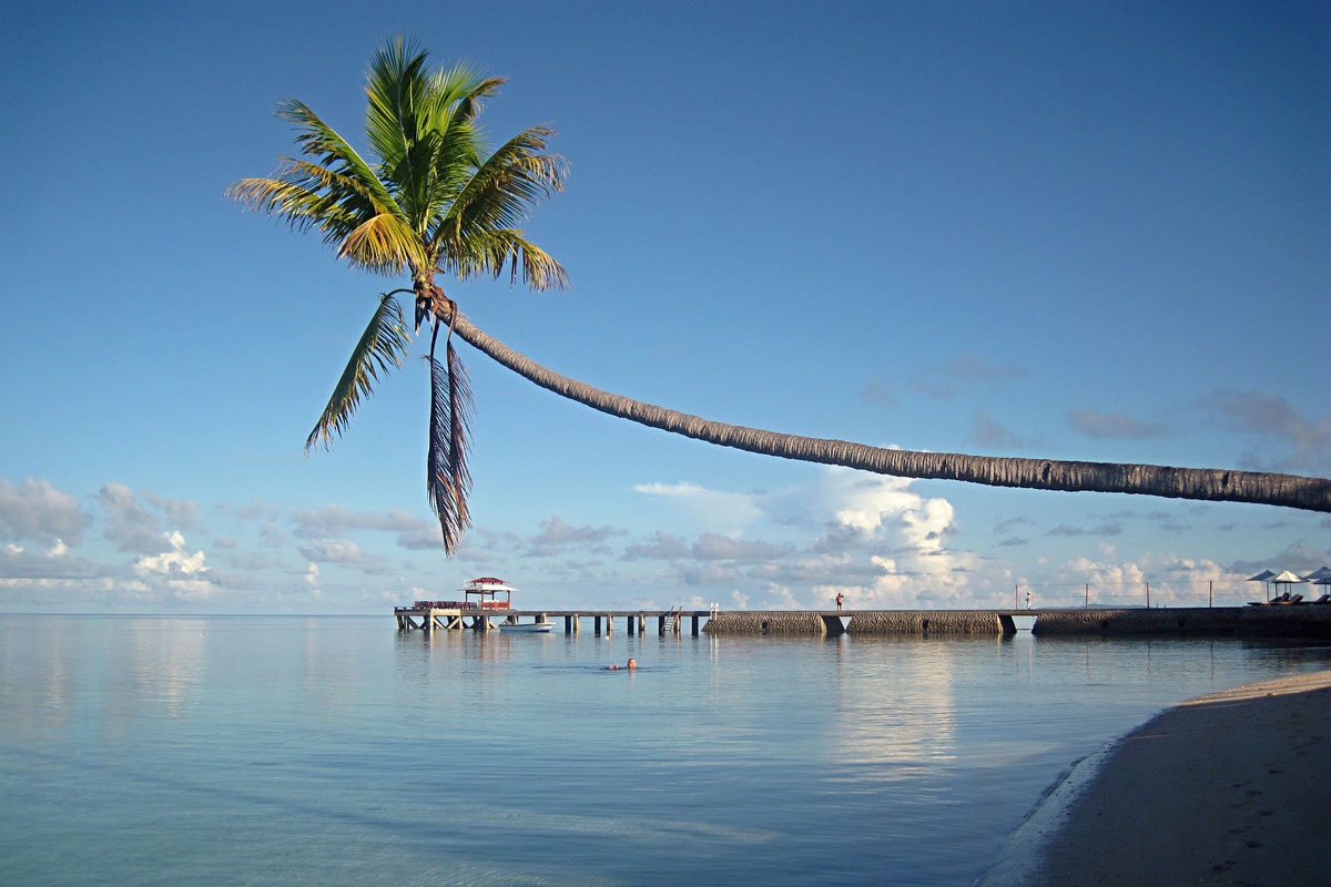 The Best Scuba Diving in Indonesia – All the Top Sites