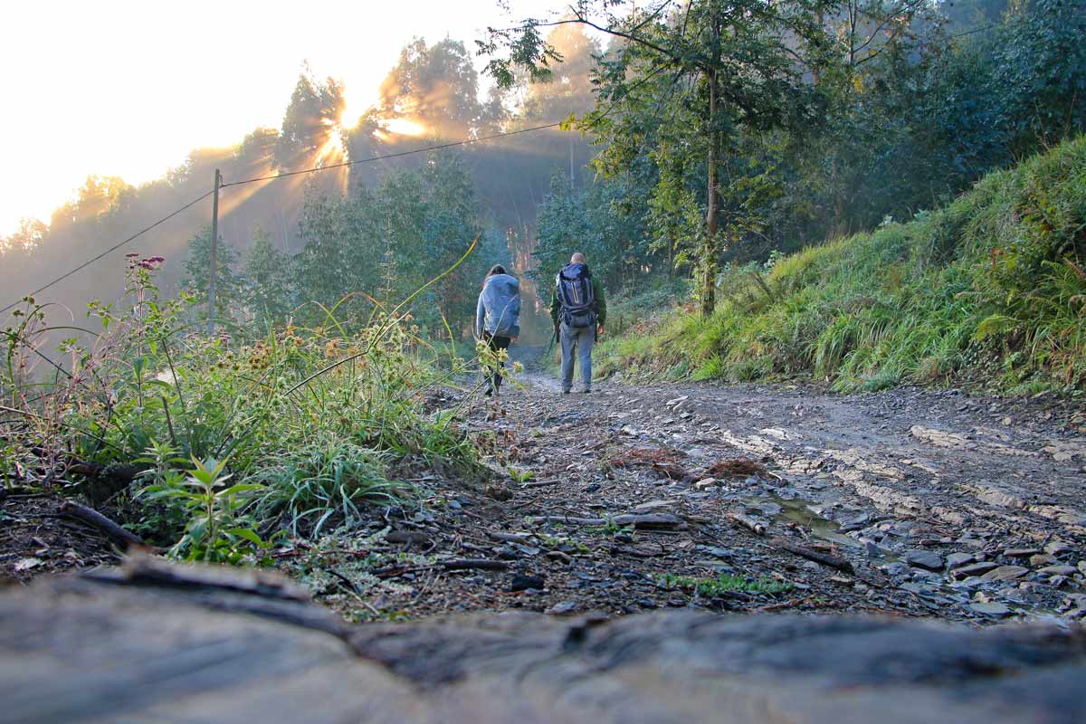 The Camino de Santiago – all you need to know