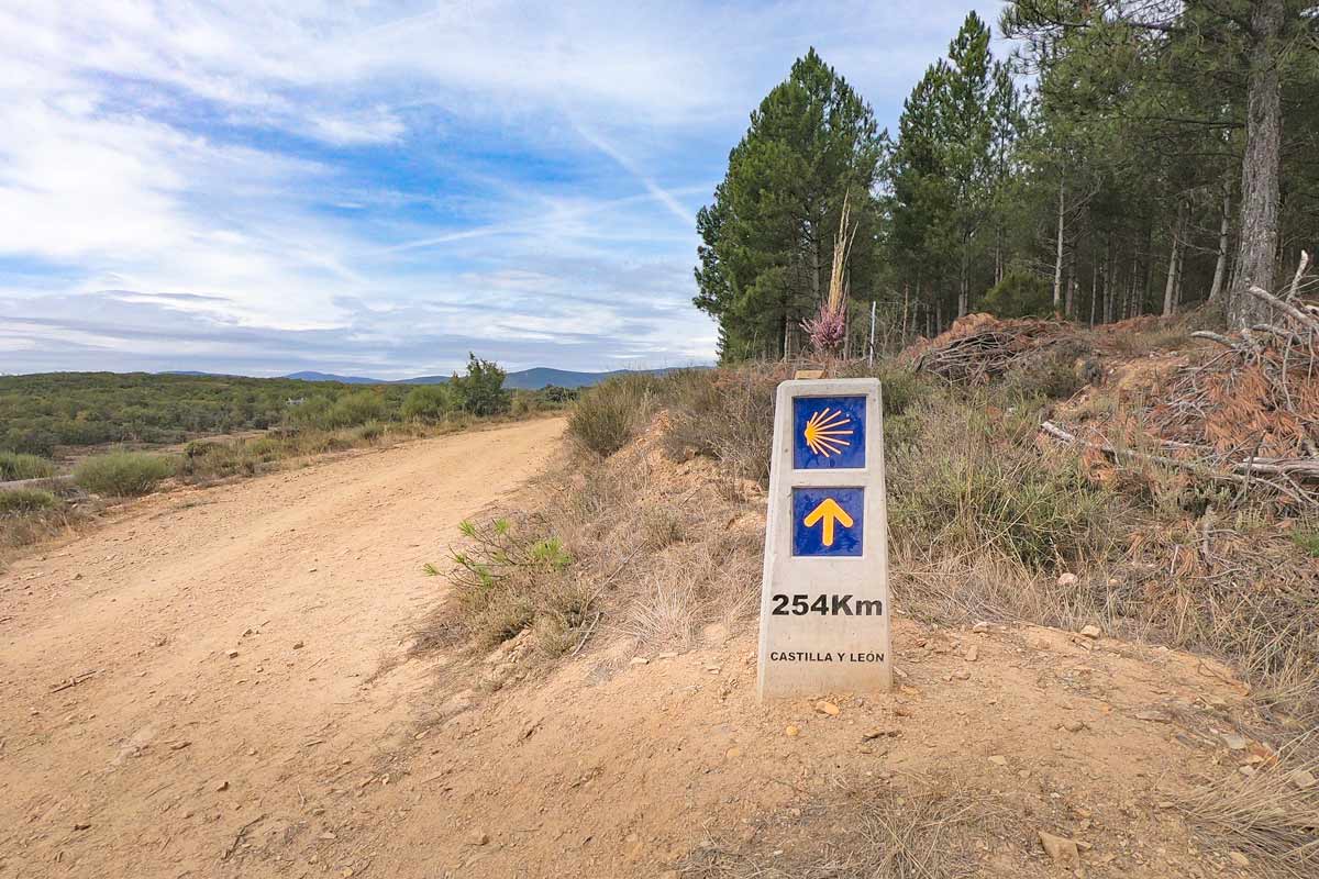 The best Camino de Santiago tips for planning & walking