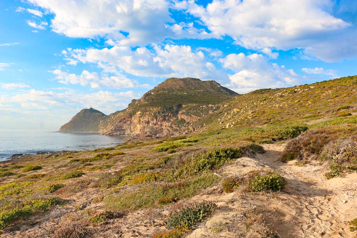 Fantastic day trips from Cape Town
