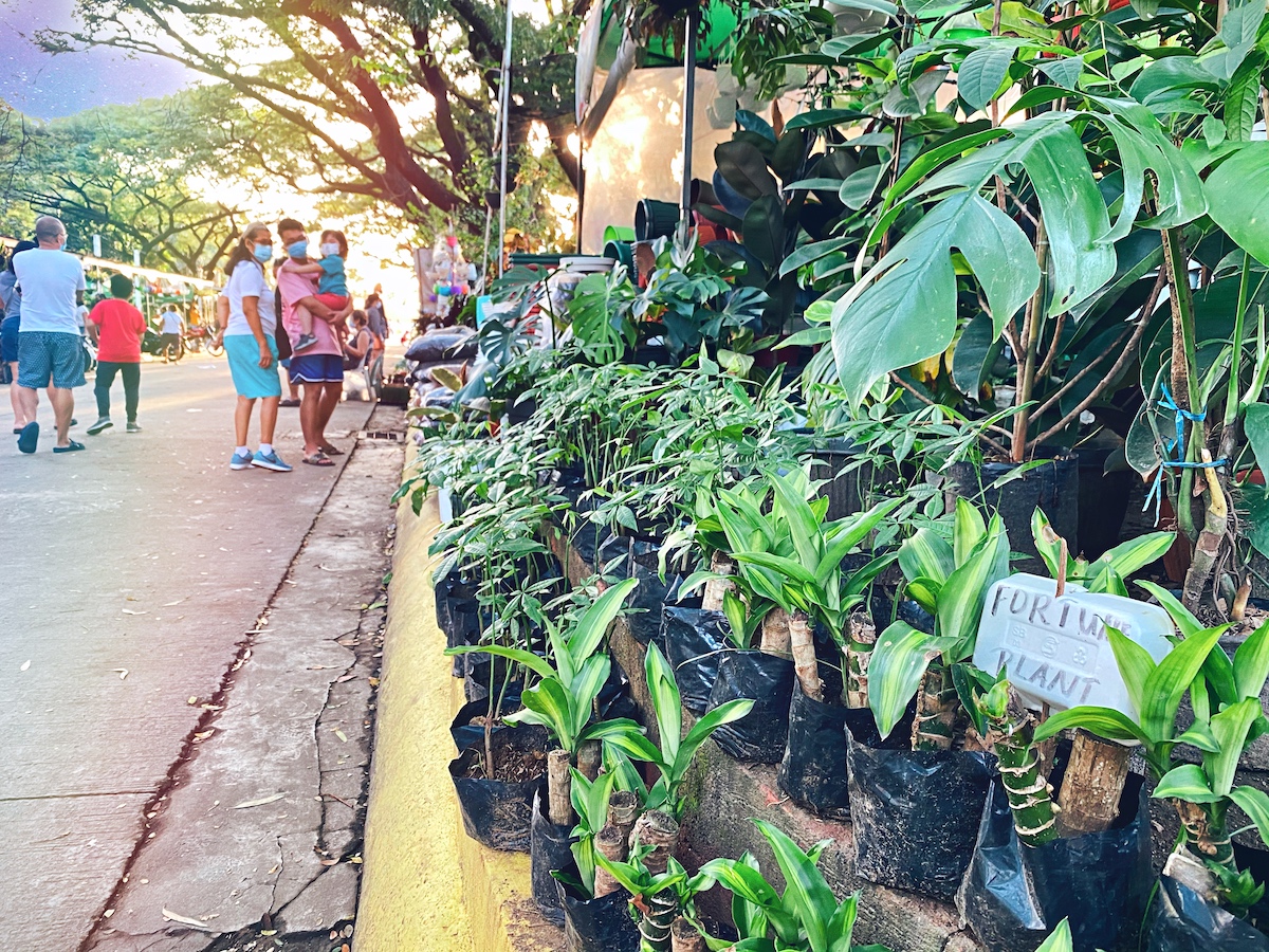 Top Deals on Cheap Flights Diamo Flight Dream, Pick a Flight