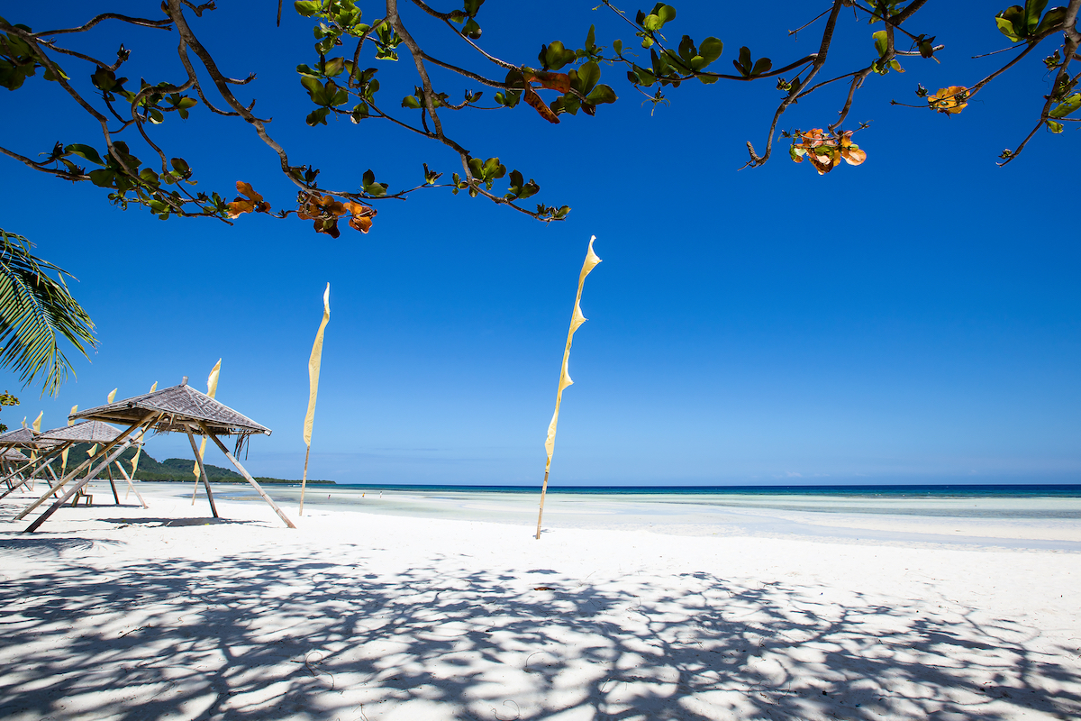 How to Visit Bohol as a Tourist Under the New Normal