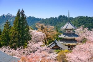 Bucket List: Top 15 Best Things to Do in Nara, Japan
